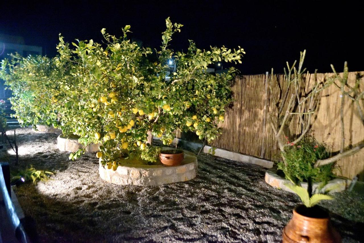 Plumeria House Archangelos  Exterior photo